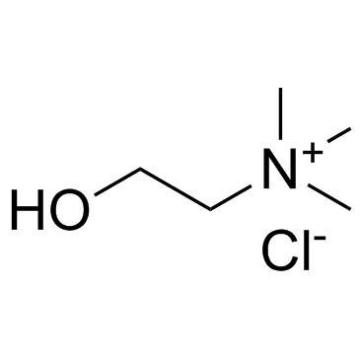 Choline Chloride Food Additive